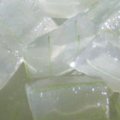 IQF Aloe vera