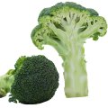 Fresh Broccoli