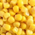 IQF Boiled Sweet Corn