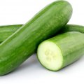 Fresh cucumber