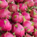 Fresh Dragon Fruit-Pitahaya