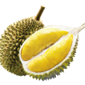 Fresh Durian