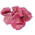 Soft dried dragon fruit