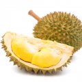Fresh Durian