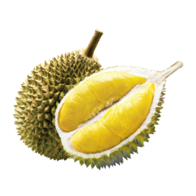 Fresh Durian