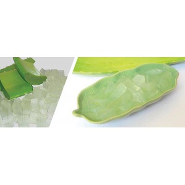 IQF Aloe vera