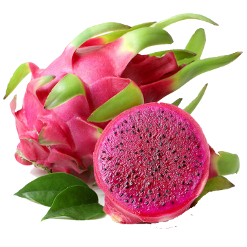 Fresh Dragon Fruit-Pitahaya